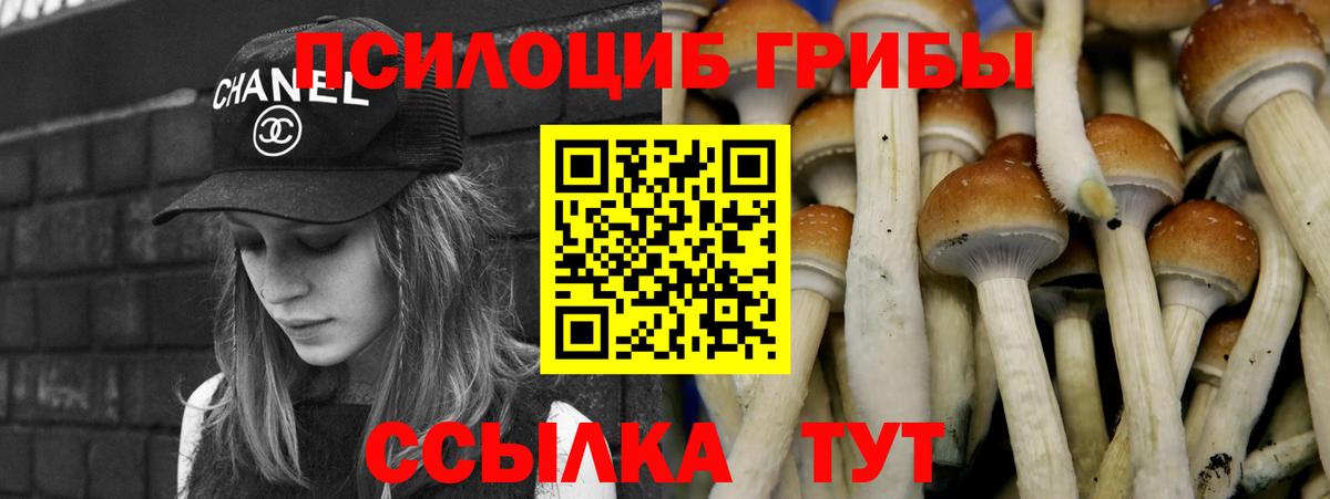 Омск  Галлюциногенные грибы мицелий  Вход с VPN 
